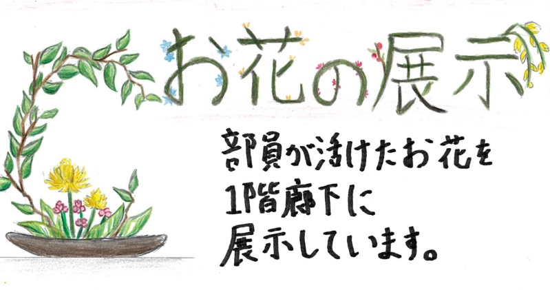 コバユキ⭐︎ラスベガス学園